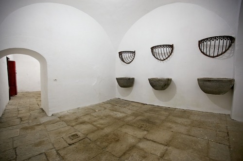 fondazione petroni-2